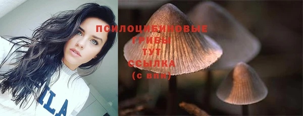 ешки Абаза