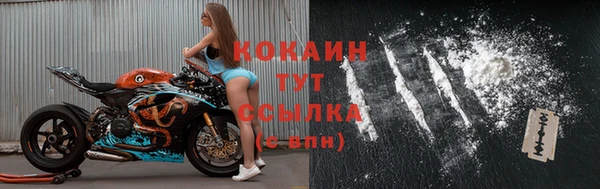 МДПВ Протвино