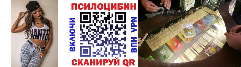 купить наркотик  Терек  Галлюциногенные грибы мухоморы 