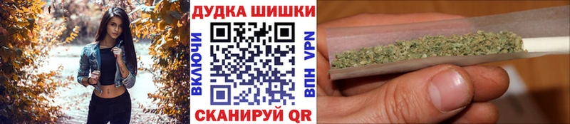 Каннабис планчик Терек